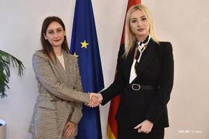 MEP: Uspješna saradnja crnogorskih institucija sa ReSPA-om