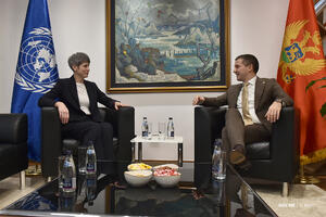 Bečić: Svjesni smo značaja očuvanja energetske nezavisnosti Crne...