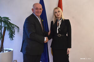 Gorčević i Partsos: Vlada odlučna da intenzivira reformske procese