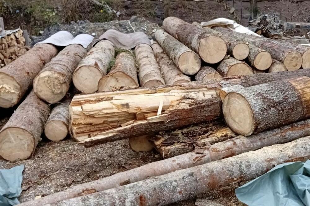 Foto: Uprava policije