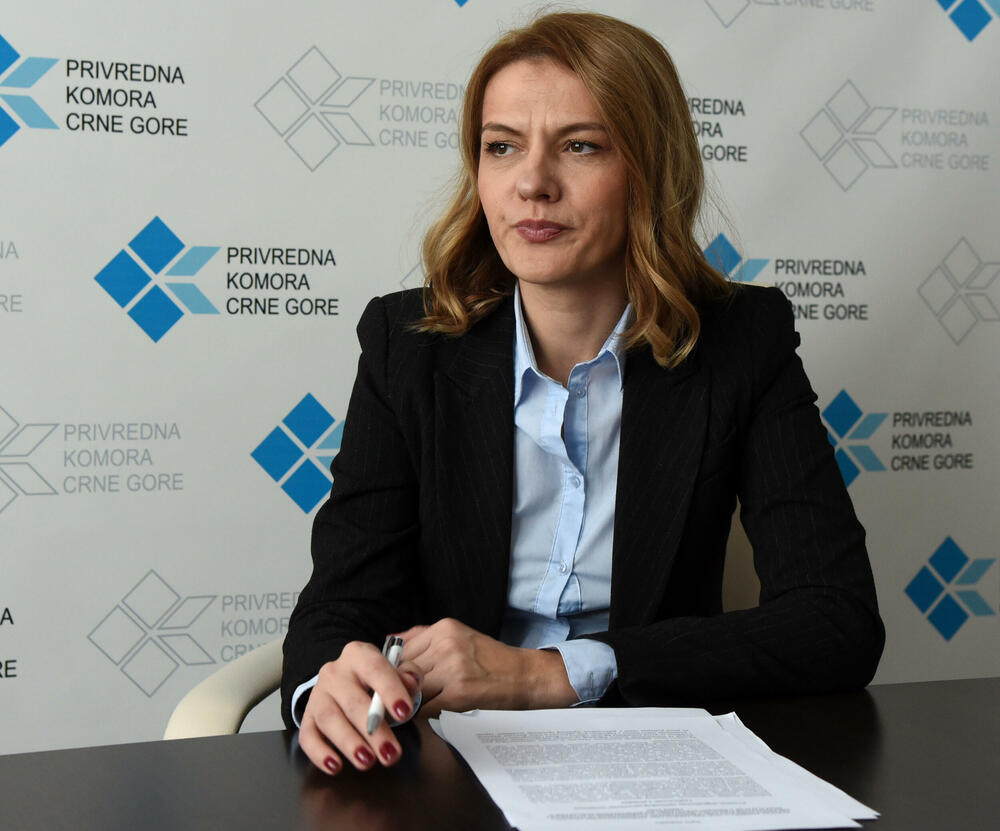 Ne mogu biti konkurentni ako se poveća PDV: Nina Drakić