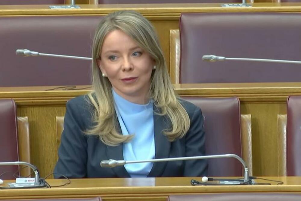 Radović na sjednici Skupštine, Foto: Printscreen YouTube