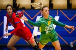 Victories in Zrenjanin and Podgorica as a prelude to the battles for Paris