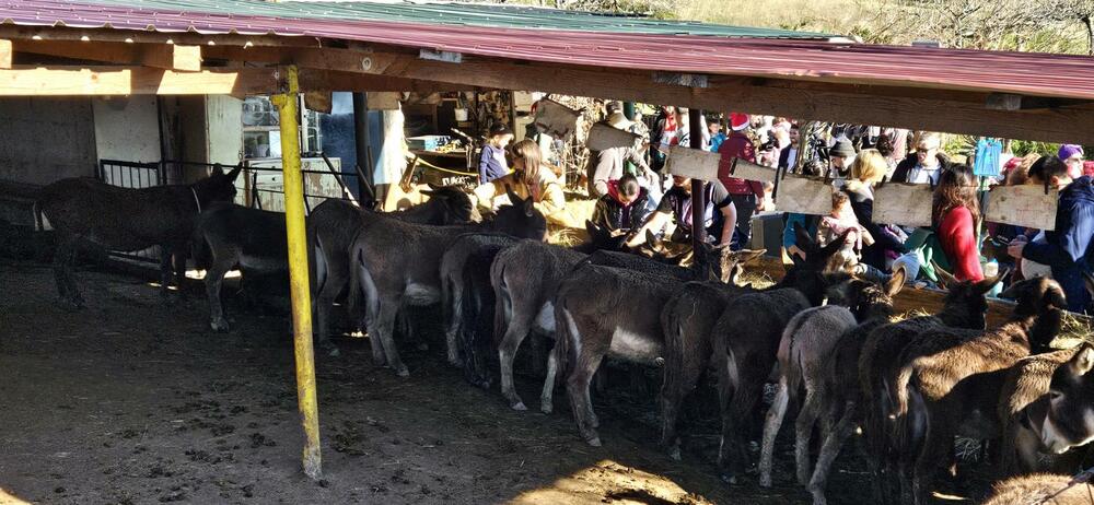 <p>Posjetioci su imali priliku da uživaju u raznovrsnim domaćim sokovima, rakiji, kuvanom vinu, kafi, čajevima, priganicama, domaćem džemu</p>