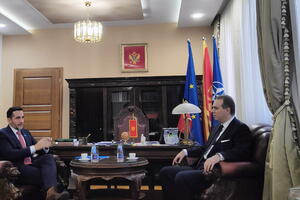 Ivanovic: The government is determined in its efforts to improve conditions and...