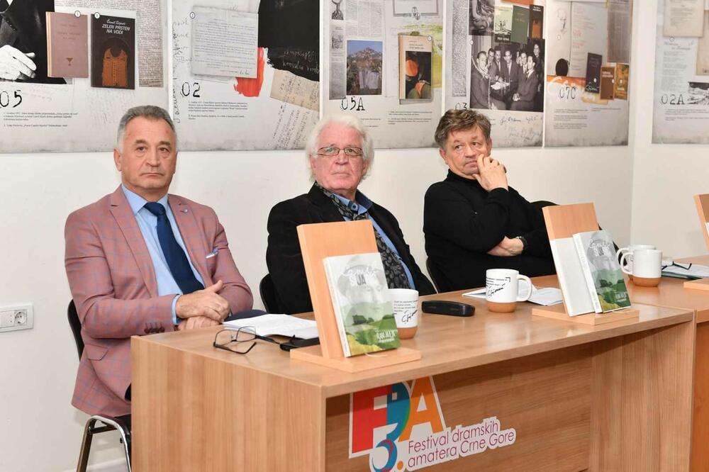 Sa događaja: Došljak, Dizdarević i Softić, Foto: Jadranka Ćetković