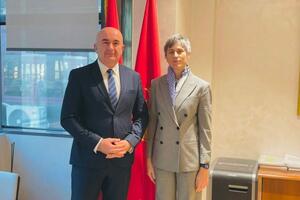 Joković: Pojačati napore i mobilisati dostupna sredstva kako bi se...