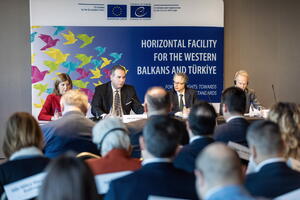 Ivanović: Nastavićemo da budemo pouzdan partner Savjeta Evrope