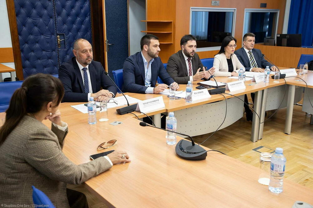 Godinama bez planskog razvoja turizma:sa sjednice odbora, Foto: Skupstina.me