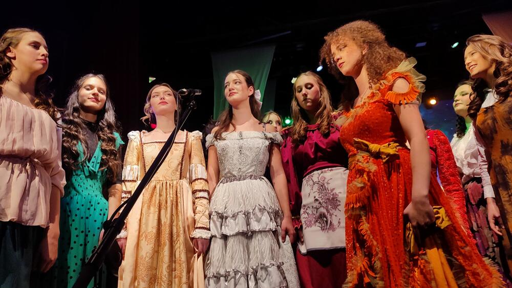 <p>Profesorica harmonike Vesna Šarac kazala je da je ideja da realizuju jedan ovakav događaj nastala 2019. godine, ali im je tada korona omela planove, zato su sada na „kostur“ koji je tada postavljen nadogradili priču</p>