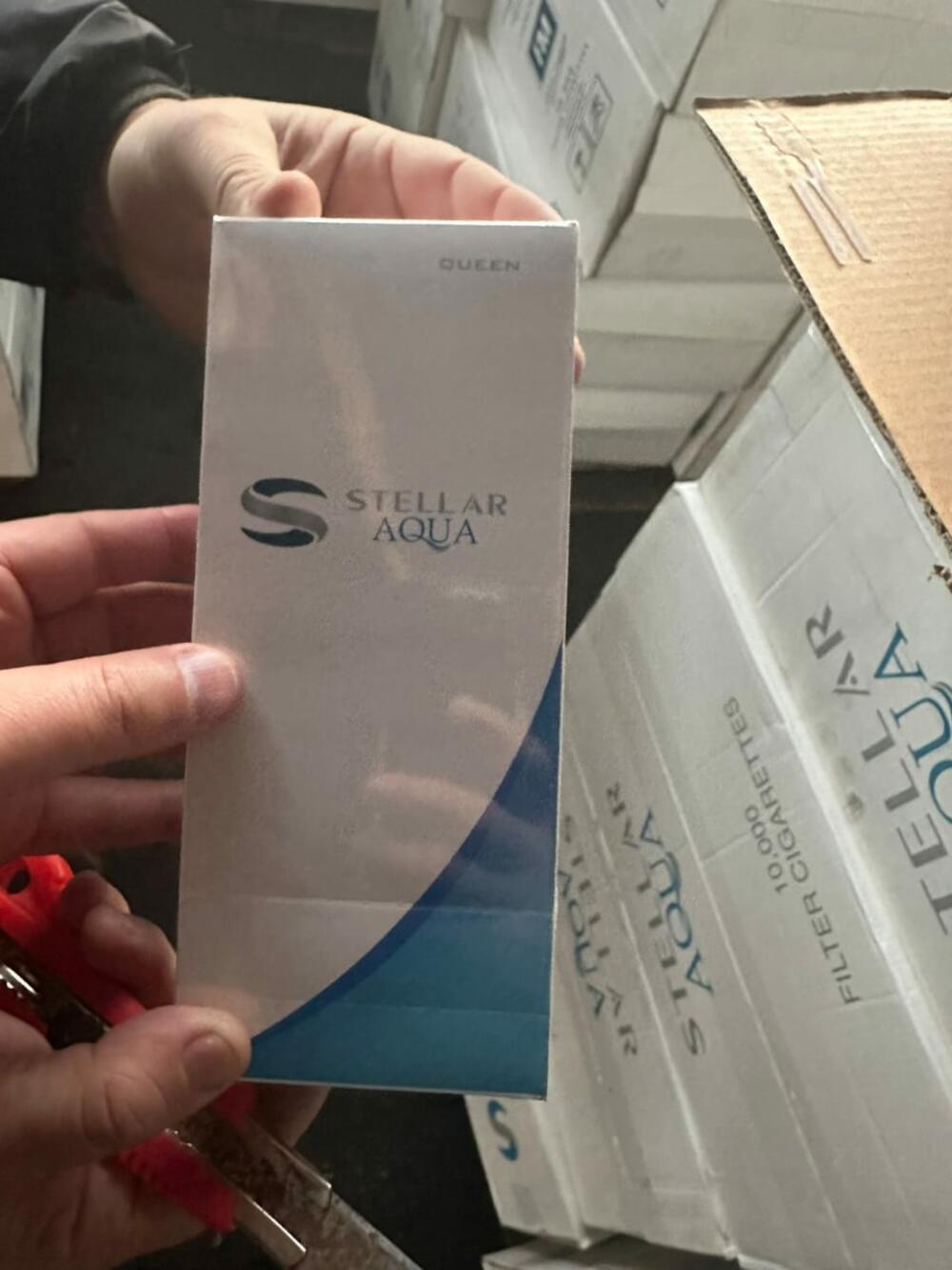 <p>Cigarete su kontejnerom dopremljene iz Ujedinjenih Arpaskih Emirata</p>