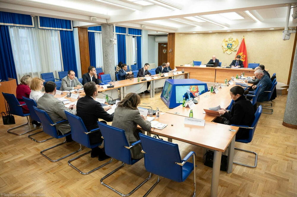 Samo za plate, penzije i socijalna davanja potrebno 1,7 milijardi eura: Sa odbora, Foto: skupstina.me