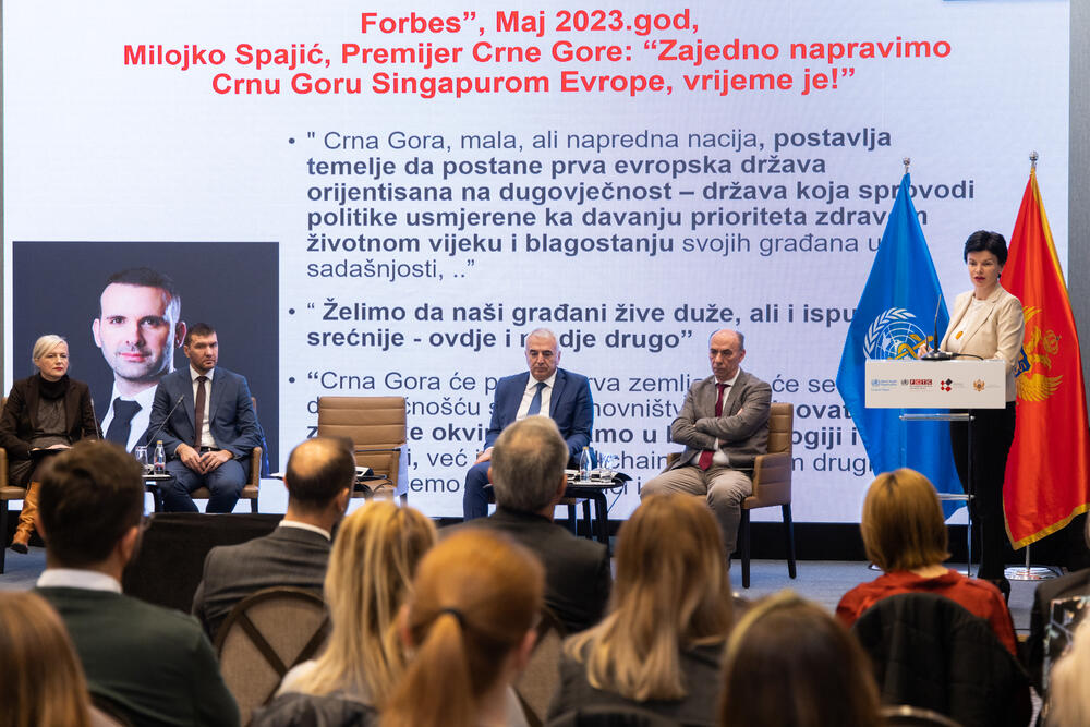 <p>"Priča o zabrani duvanskih proizvoda nemoguća je bez zabrane i elektronskih cigareta“, istakao je Pavićević</p>