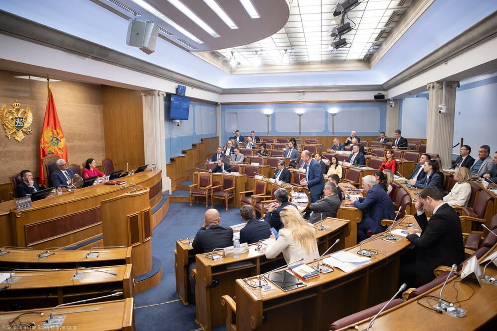 Parlamentu ostalo još da izabere VDT-a: detalj sa sjednice, Foto: Igor Šljivančanin/Skupština Crne Gore