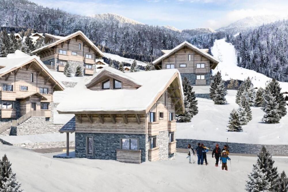 Projektovani izgled vila, Foto: Privatna arhiva