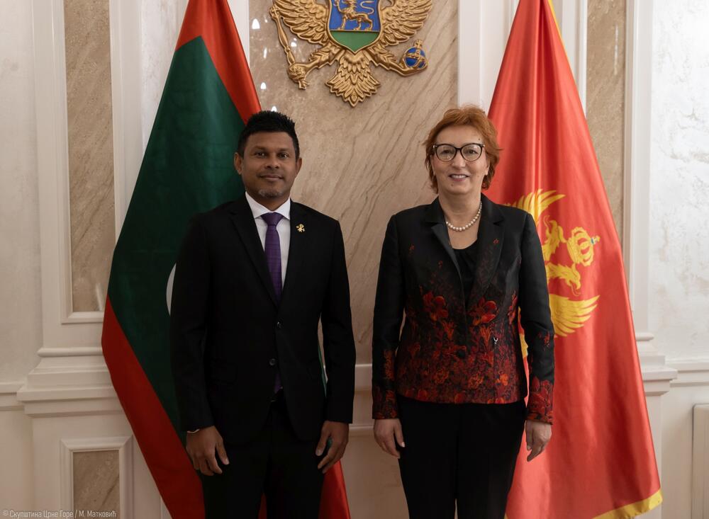 Zdenka Popović Maldivi