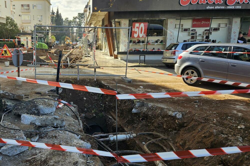 Iskop ogolio korijenje starog platana, Foto: Damira Kalač