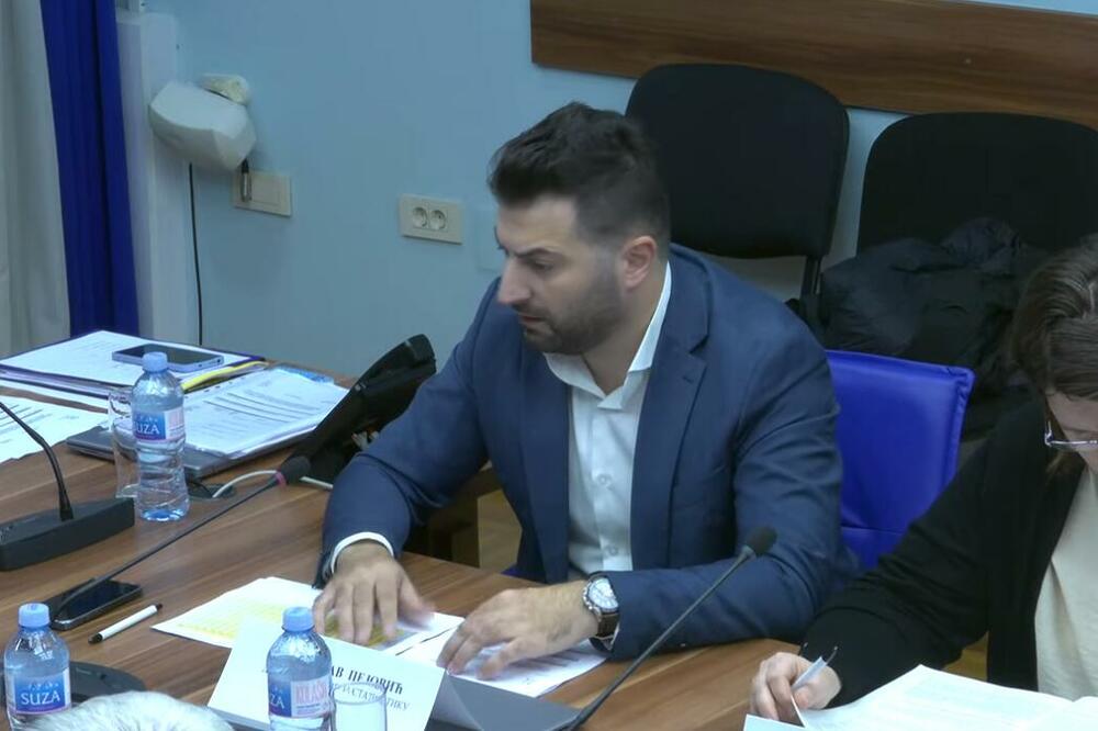 Sa današnje sjednice Odbora, Foto: Printscreen/Youtube