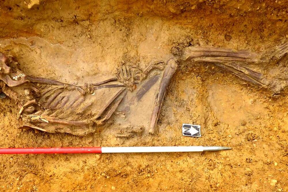 DNK analiza je pokazala da je ovaj mladić prije 2.000 godina stigao u grofoviju Kembridžšir iz najudaljenijih krajeva Rimskog carstva, Foto: ©MOLA Headland Infrastructure