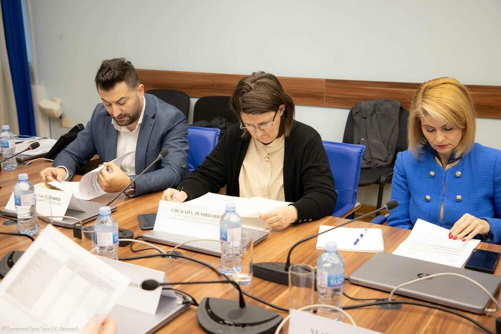 “Preuranjeno govoriti o analizama... broja stanovništva”: predstavnici Monstata na jučerašnjoj sjednici odbora, Foto: Skupština