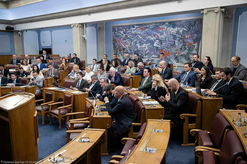 Konačnu riječ o predlogu daće plenum: sa sjednice parlamenta, Foto: Skupština  CG