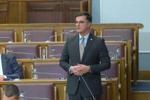 Šaranović: I expect the Serbian authorities to respond indiscriminately to...
