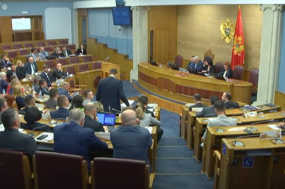 Sa sjednice, Foto: Skupština Crne Gore/Youtube