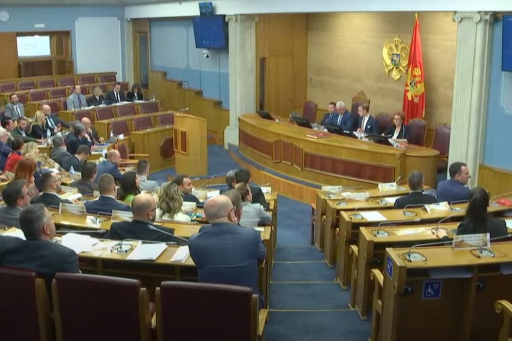 Foto: Skupština Crne Gore/Youtube