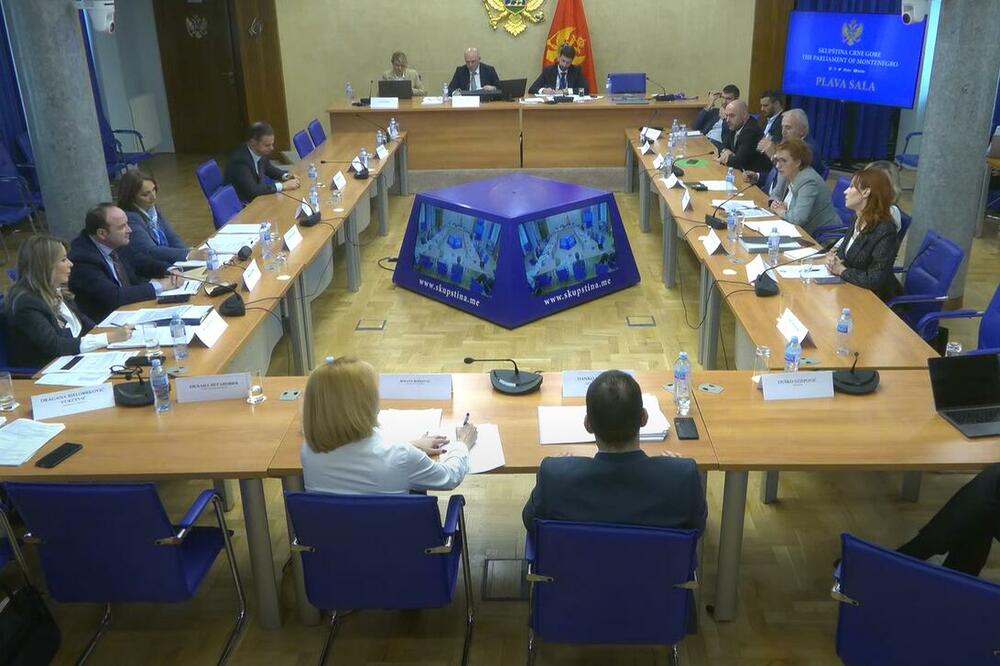 Sa sjednice Odbora, Foto: Printscreen YouTube