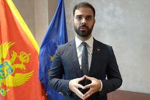 Radulović: Predložio sam da se odmah traži ponuda za eventualno...