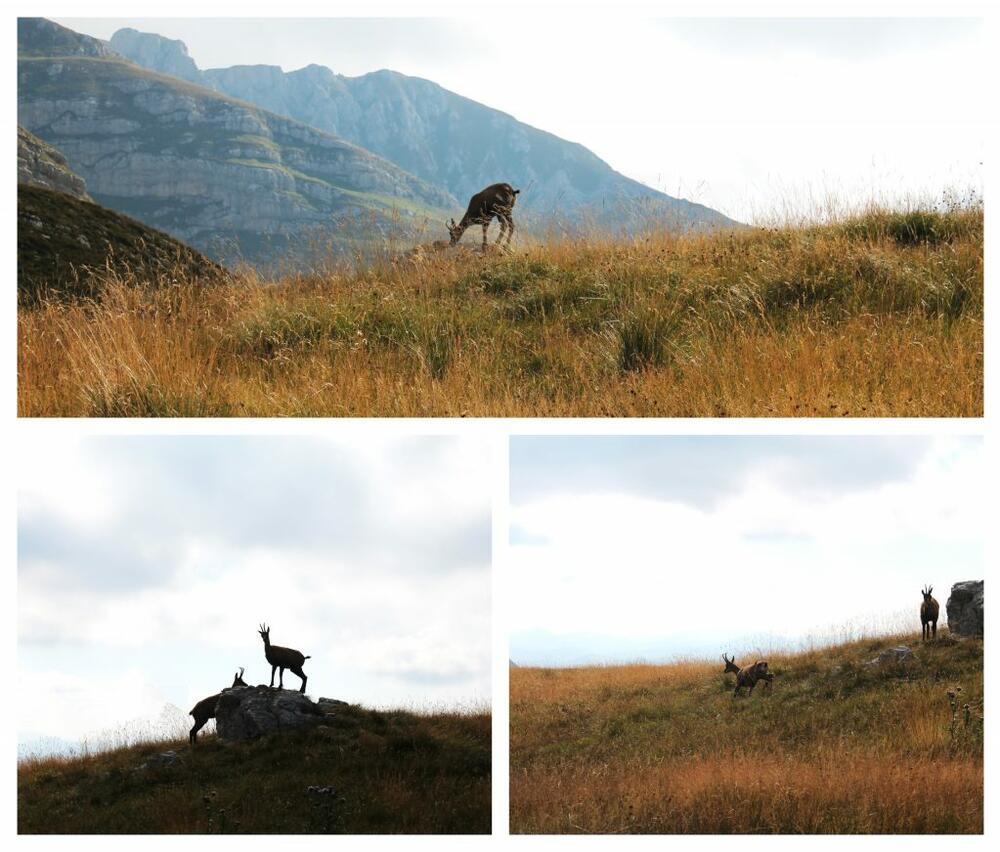 jasnina putovanja Bandijerna