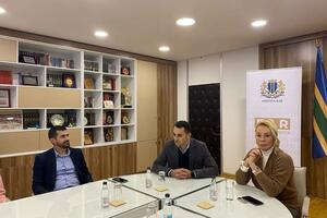 Raičević: We have been negotiating Lepa Brena's performance for more than a year,...