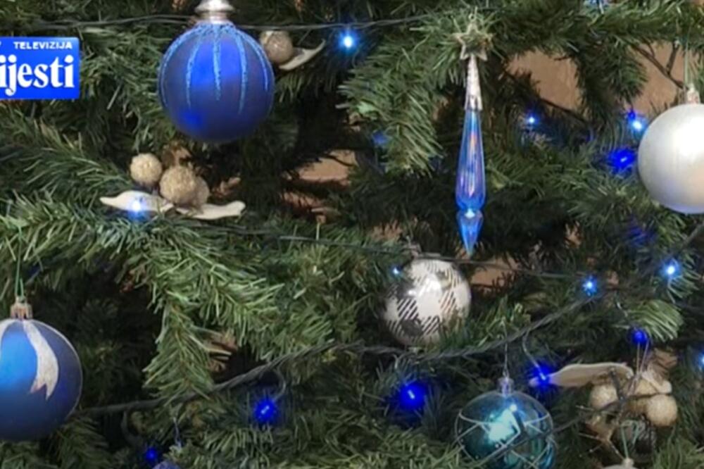 Novogodišnja jelka u Skupštini, Foto: Screenshot/TV Vijesti