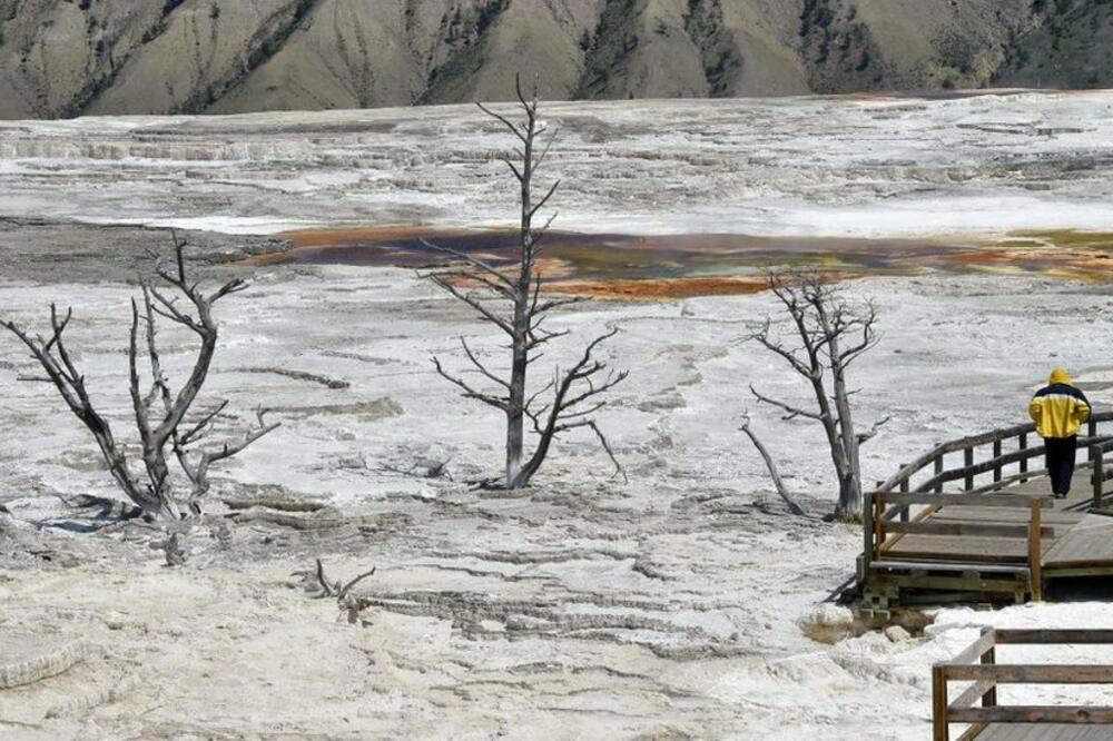 Posjetioci ne bi smjeli da napuštaju pješačke zone Nacionalnog parka Jeloustoun, Foto: Getty Images