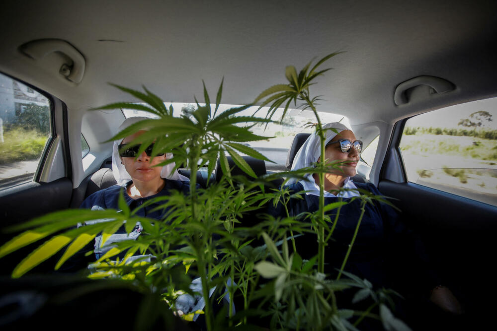 Sestra Kika i sestra Bernadet prevoze biljke kanabisa u centralnom Meksiku