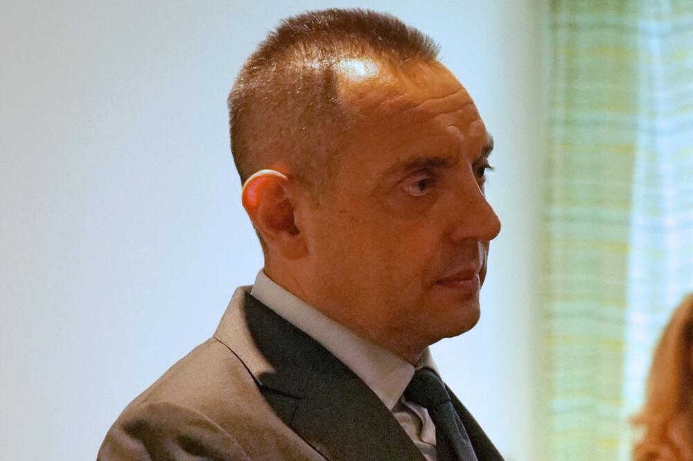 Vulin, Foto: mup.gov.rs