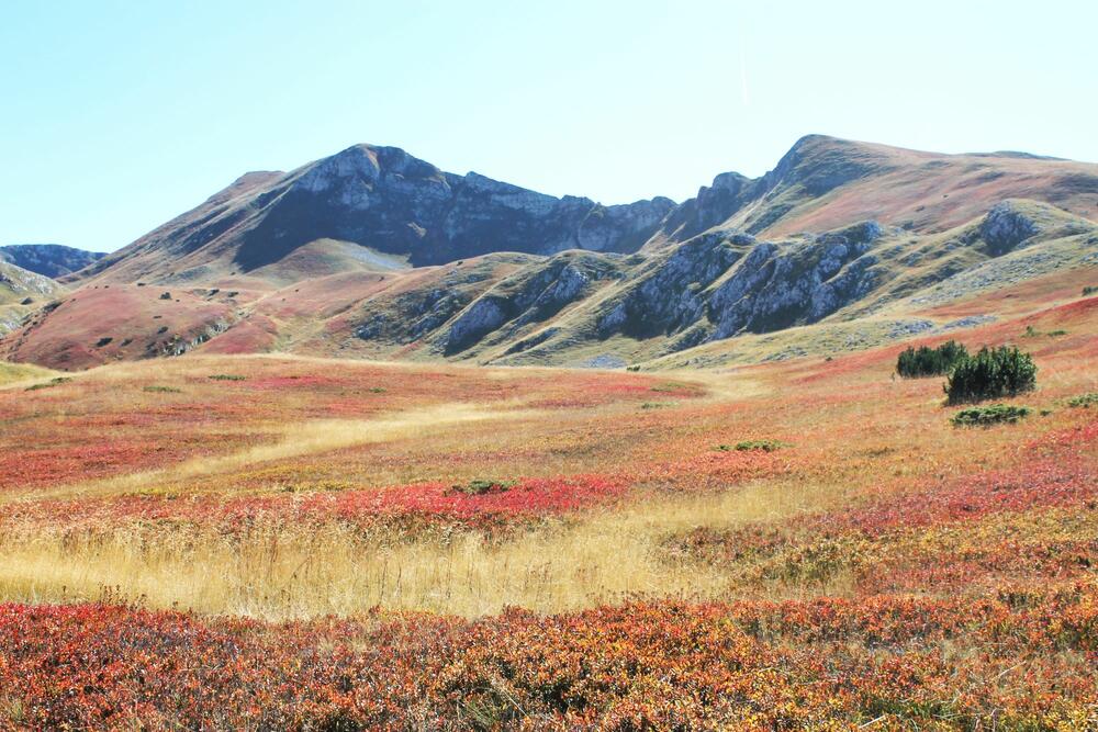 Foto: Jasninaputovanja.me