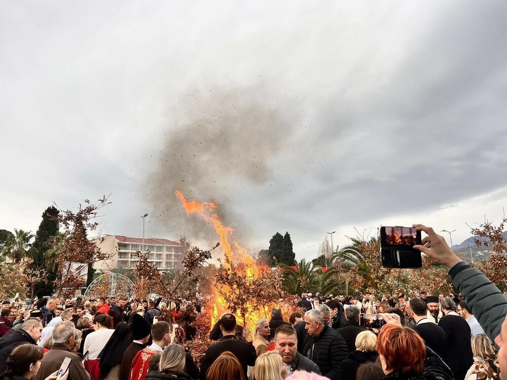 nalaganje badnjaka SPC Bar