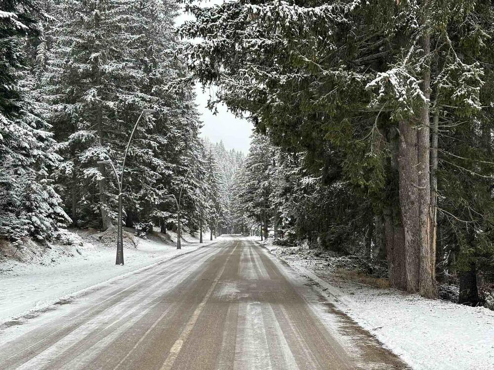 <p>Snijeg je jutros zabijelio Žabljaku.</p>  <p>Prema podacima sa sajta Zavoda za hidrometeorologiju i seizmologiju visina sniježnog pokrivača na Žabljaku je tri santimetra</p>