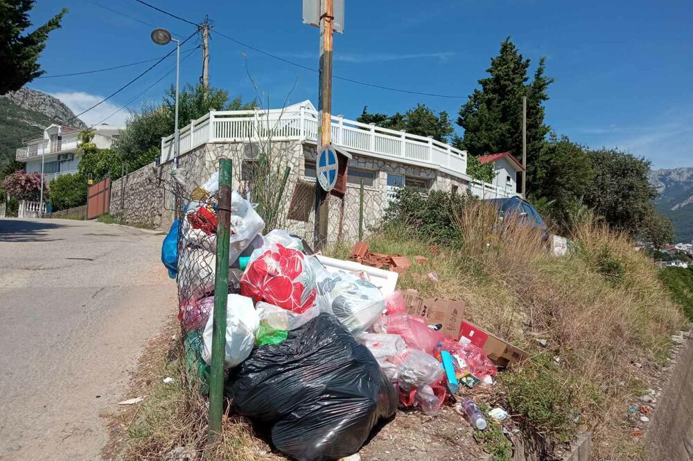 Jedna od mini-deponija u Šušanju, Foto: Marija Pešić