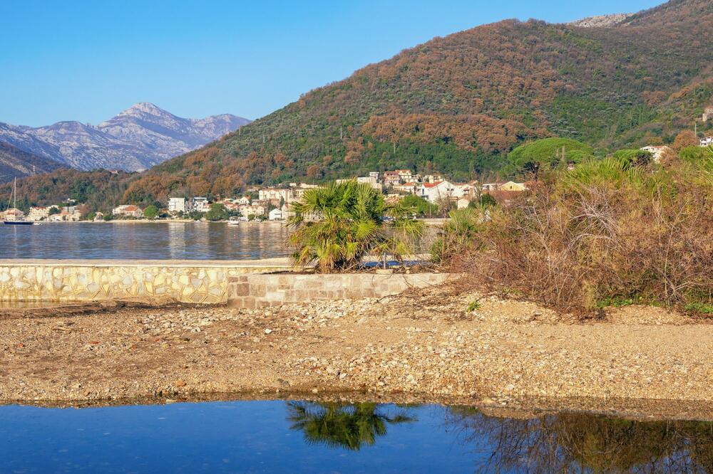 Ilustracija, Foto: Shutterstock