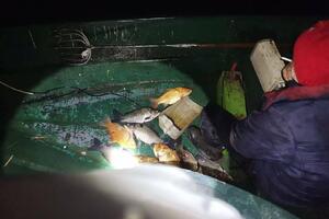 Lake Skadar: Four people caught in poaching