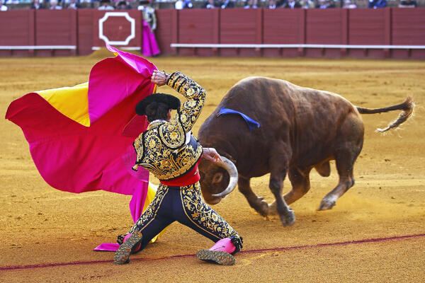 Mexico is bringing back bullfighting in the world's biggest arena