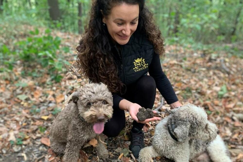 Foto: BBC/Jelena Subin