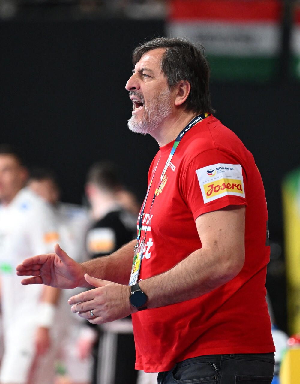 <p>Rukometaši Crne Gore poraženi od Mađarske 26:24 u 1. kolu Evropskog prvenstva u Njemačkoj. Na 28 sekundi do kraja zabuna na tajm-autu Vlada Šole, koji je prepustio Branku Vujoviću odluku šta da se igra. Nikšićanin šutirao i promašio remi</p>