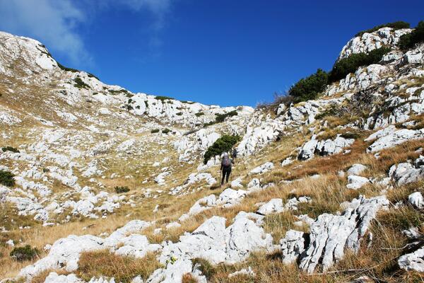 Upoznaj domovinu: Ružica (2141 mnm)