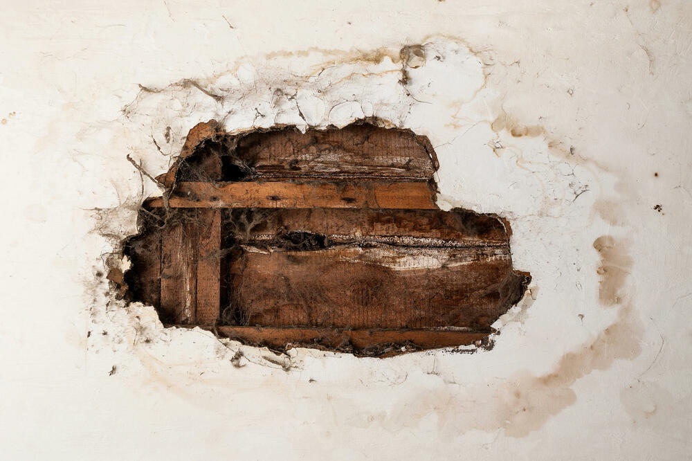 Ilustracija, Foto: Shutterstock