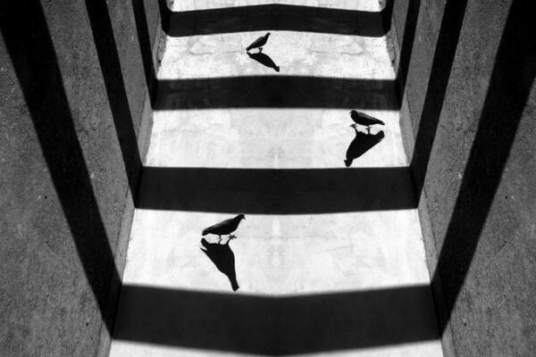 U doba tišine i ćutanja