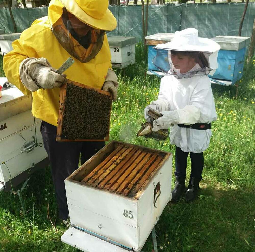 Sa unukom Nađom u pčelinjaku