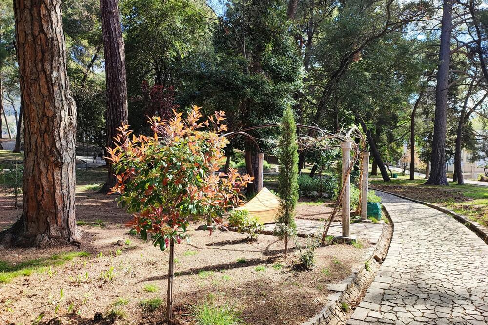 Detalj iz Velikog gradskog parka, Foto: Siniša Luković